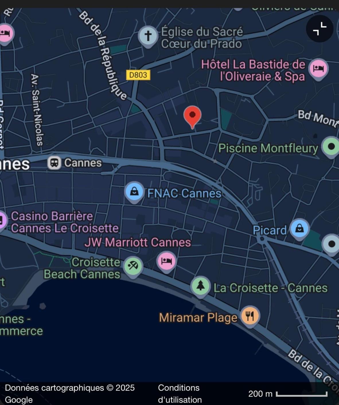Le Petit Carlthon Appart Cannes Exteriör bild